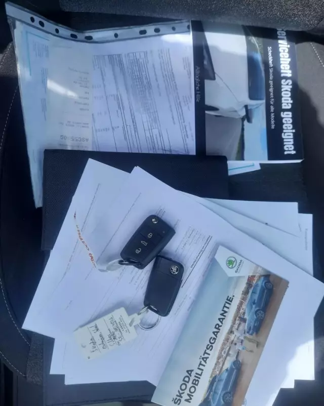 SKODA Octavia 1.6 TDI DSG Soleil