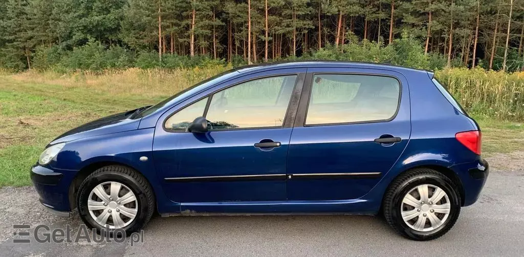 PEUGEOT 307 