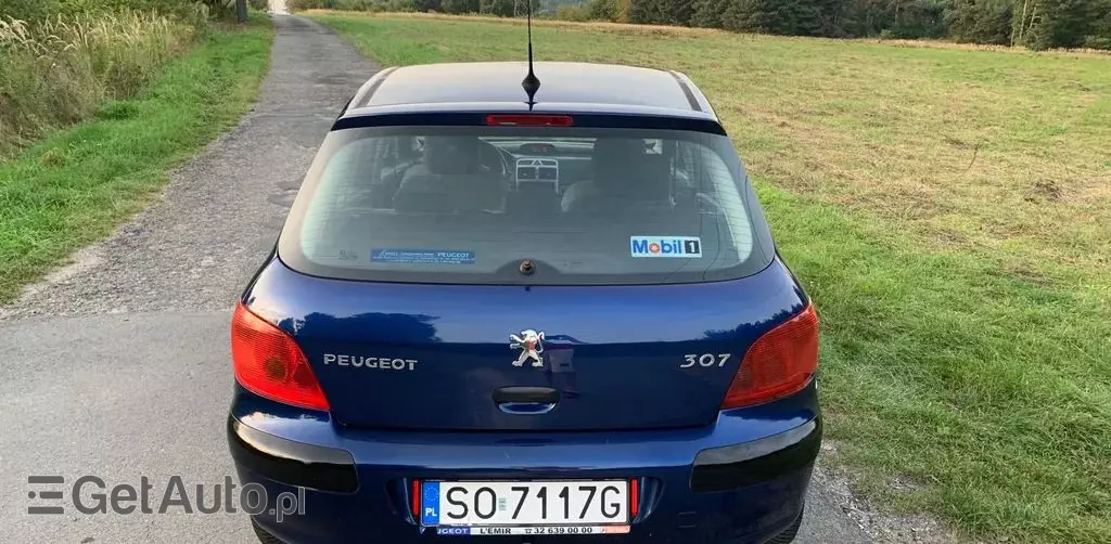PEUGEOT 307 