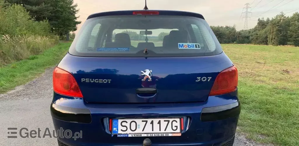 PEUGEOT 307 