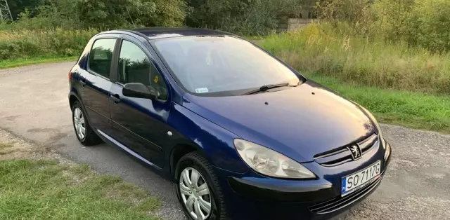 PEUGEOT 307 
