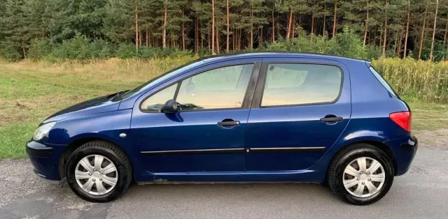 PEUGEOT 307 
