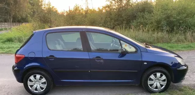 PEUGEOT 307 