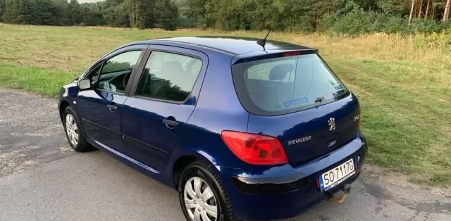 PEUGEOT 307 