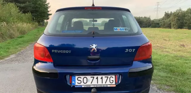 PEUGEOT 307 