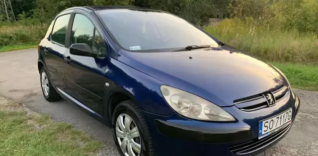 PEUGEOT 307 