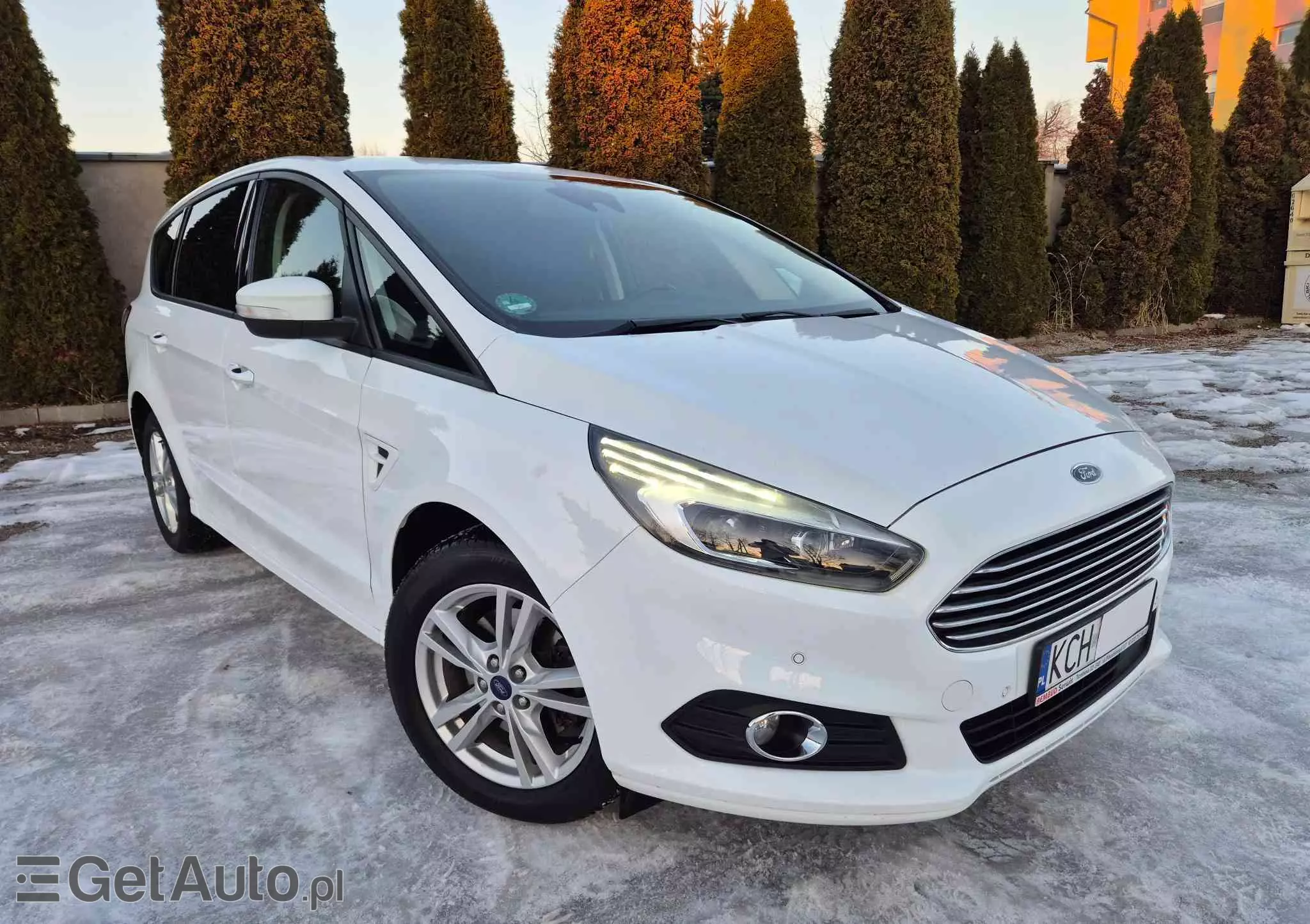 FORD S-Max 2.0 TDCi Business