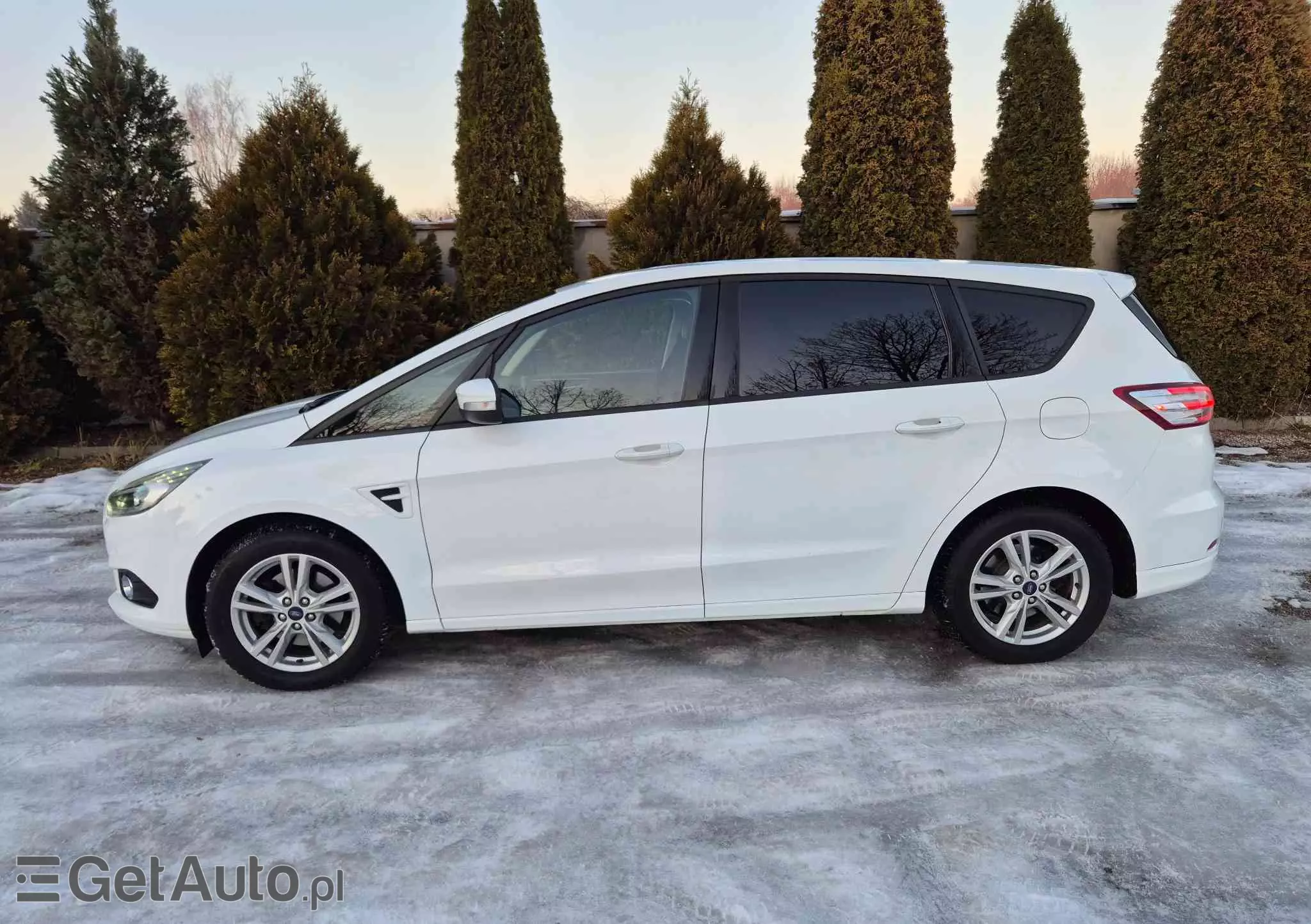FORD S-Max 2.0 TDCi Business