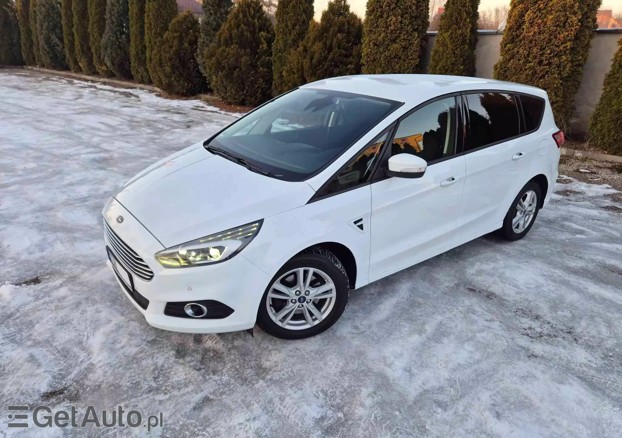 FORD S-Max 2.0 TDCi Business