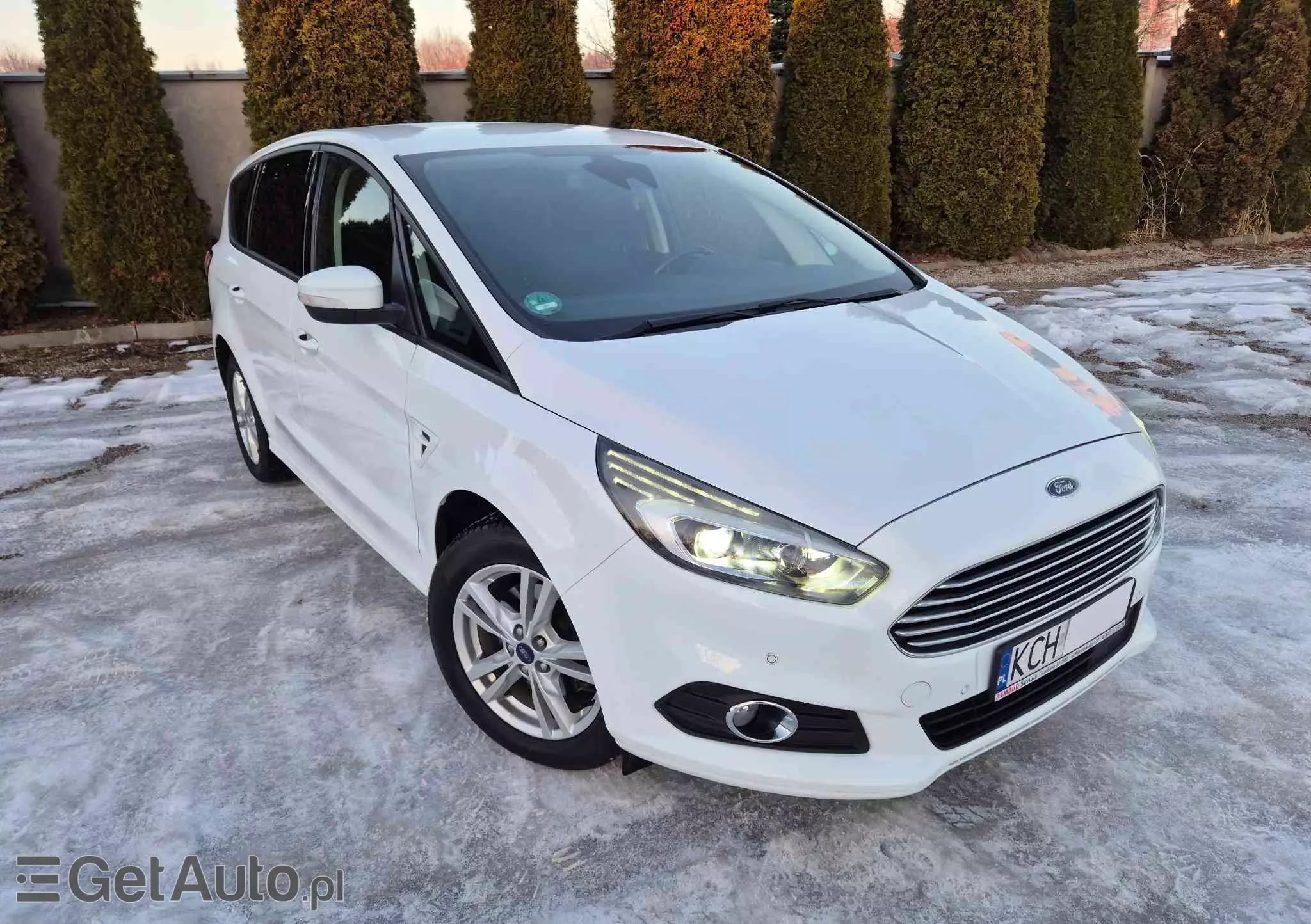 FORD S-Max 2.0 TDCi Business