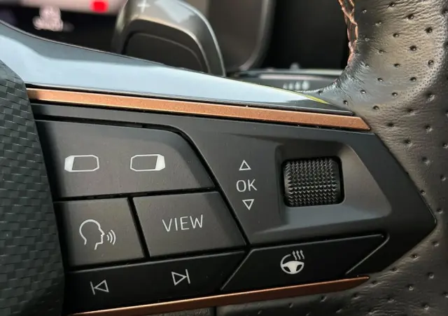 CUPRA Formentor 2.0 TSI 4Drive DSG