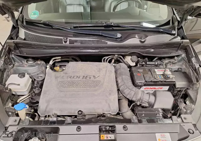 KIA Sportage 2.0 CRDI 184 4WD Fifa World Cup Edition