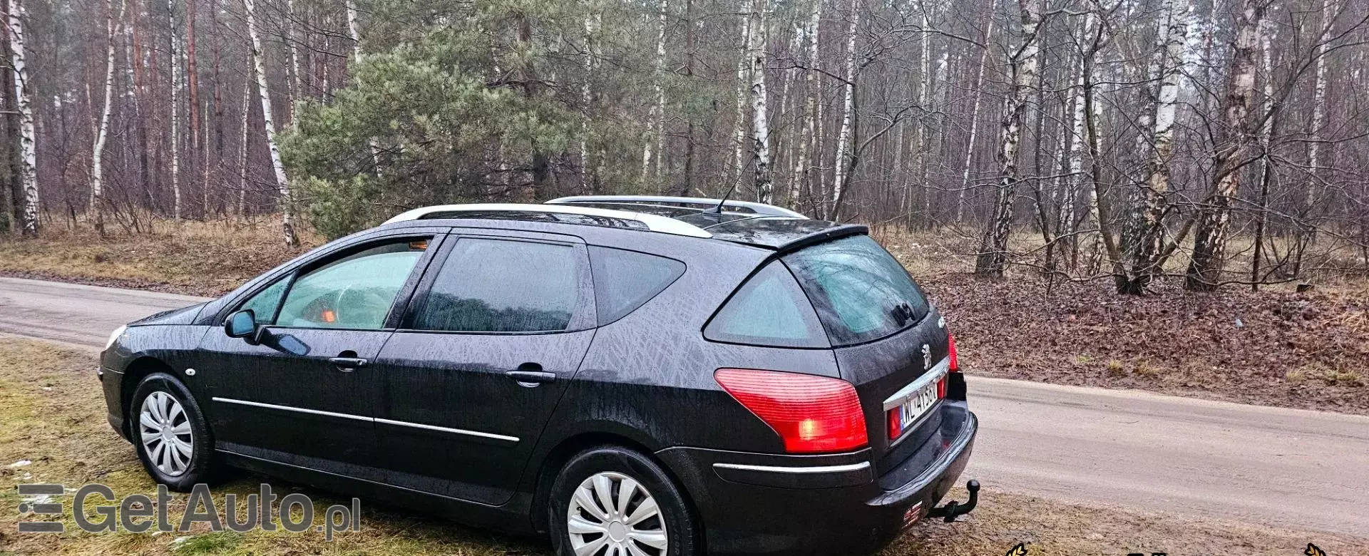 PEUGEOT 407 