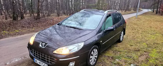 PEUGEOT 407 
