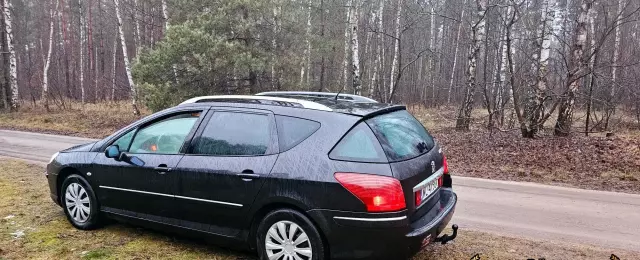 PEUGEOT 407 
