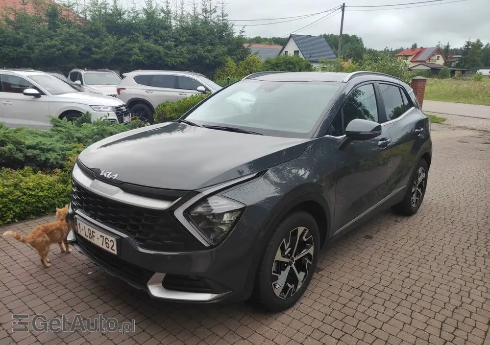 KIA Sportage 1.6 T-GDI Business Line 2WD
