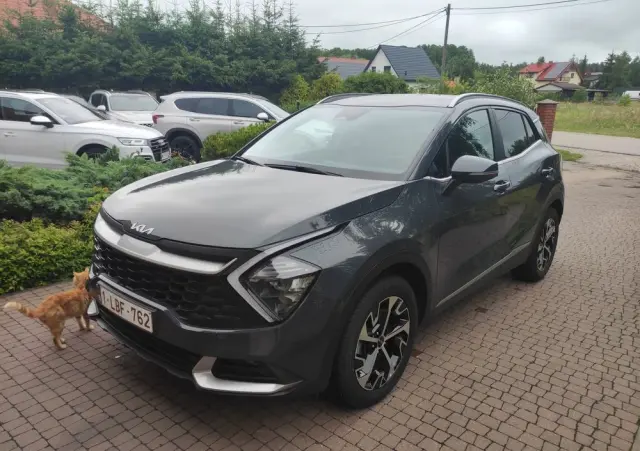 KIA Sportage 1.6 T-GDI Business Line 2WD