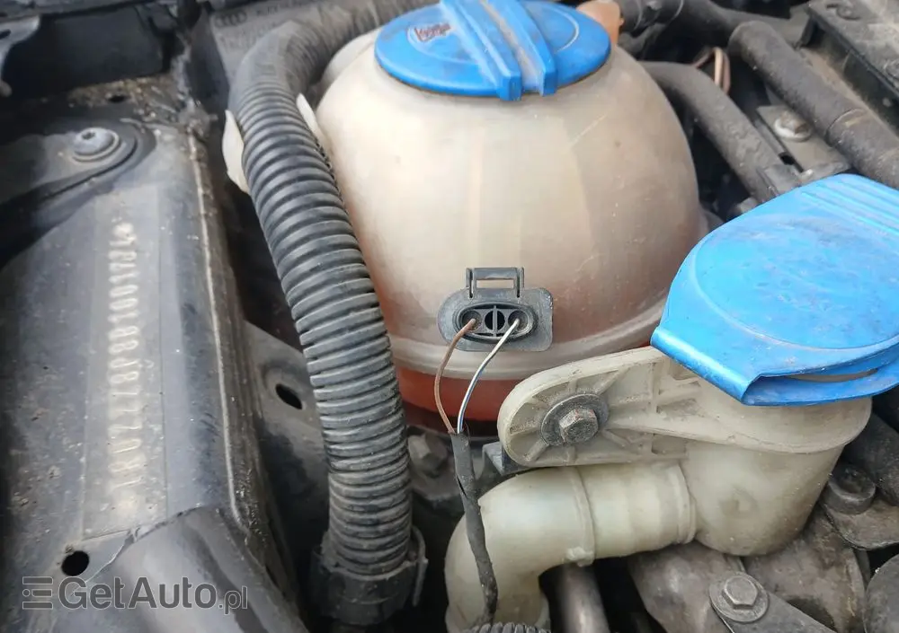 AUDI A3 Cabrio 2.0 TDI DPF S tronic Ambition