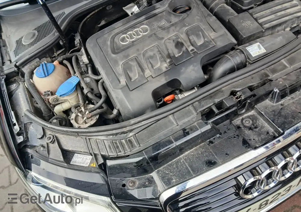 AUDI A3 Cabrio 2.0 TDI DPF S tronic Ambition