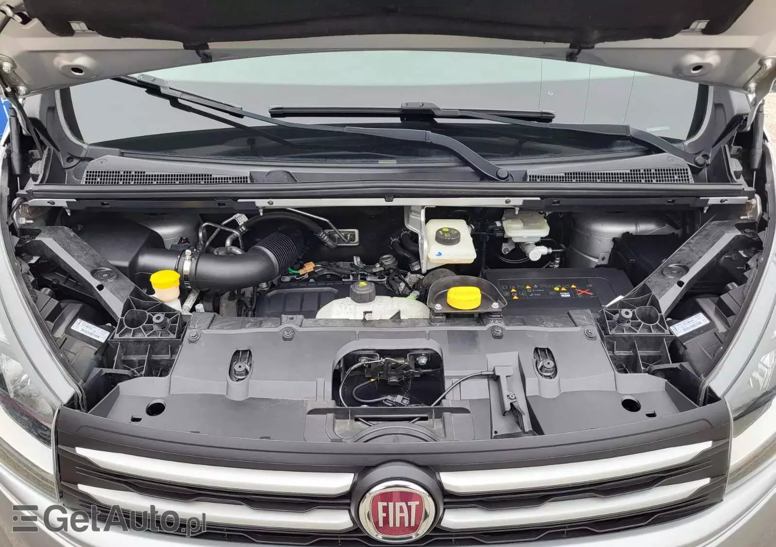 FIAT Talento L2H1 Family