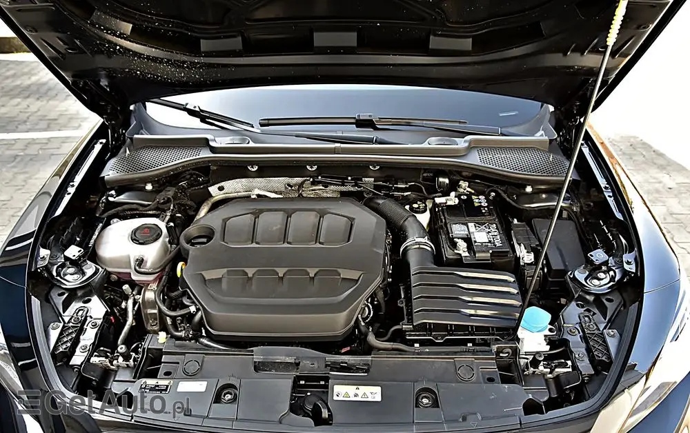 CUPRA Formentor 2.0 TSI 4Drive DSG