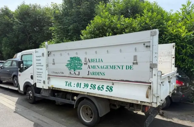 RENAULT Maxity wywrotka bliźniak 