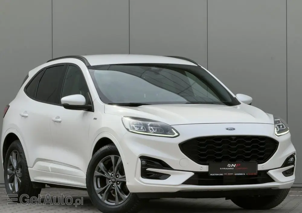 FORD Kuga 2.0 EcoBlue Hybrid ST-LINE