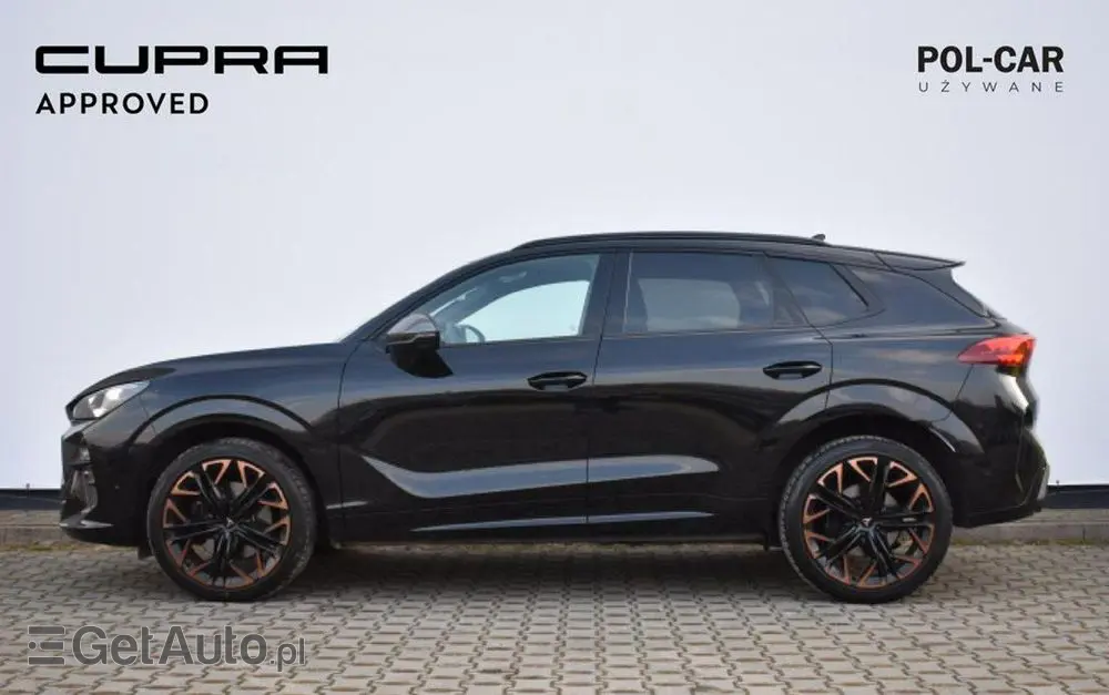 CUPRA Terramar 2.0 TSI 4Drive VZ DSG