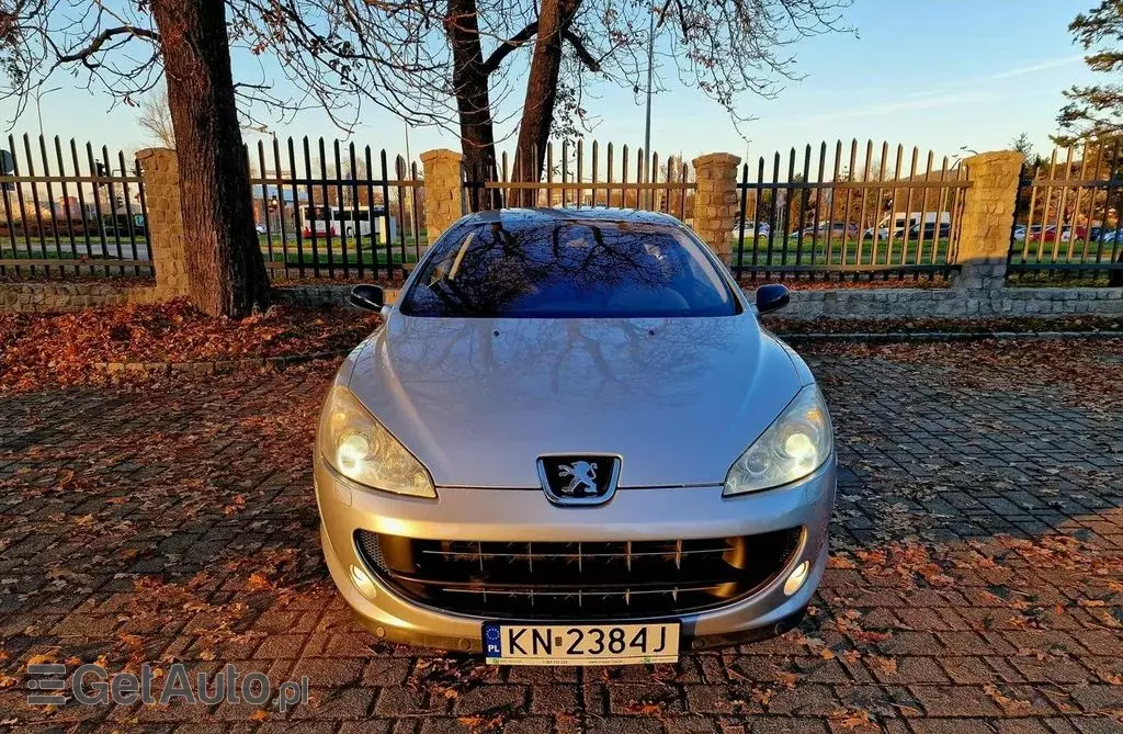 PEUGEOT 407 