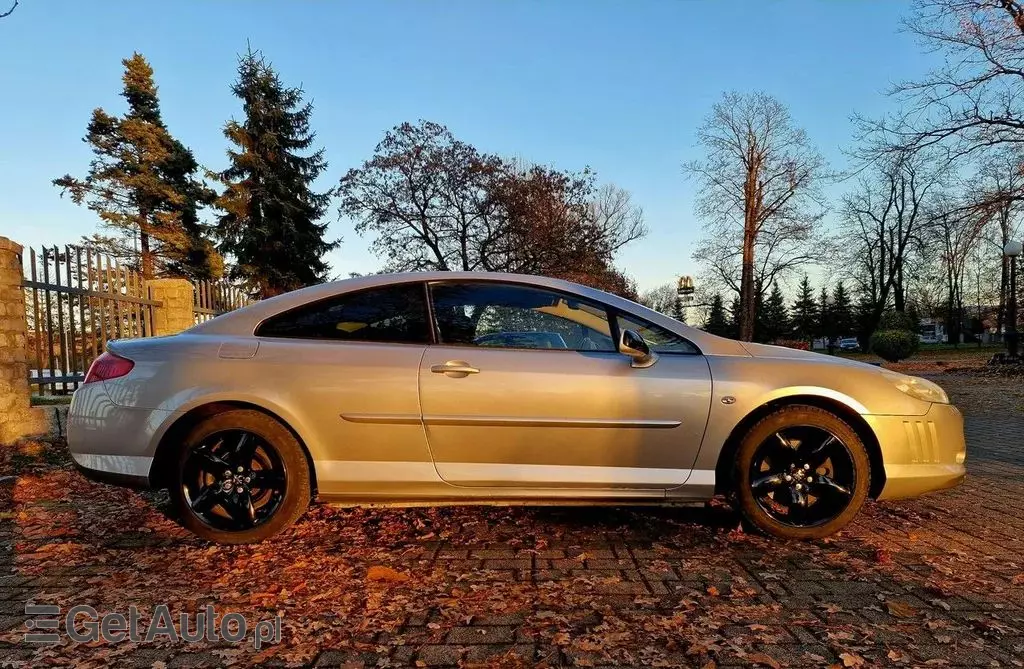 PEUGEOT 407 