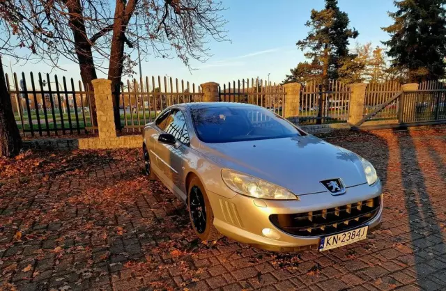 PEUGEOT 407 