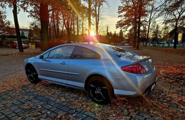 PEUGEOT 407 