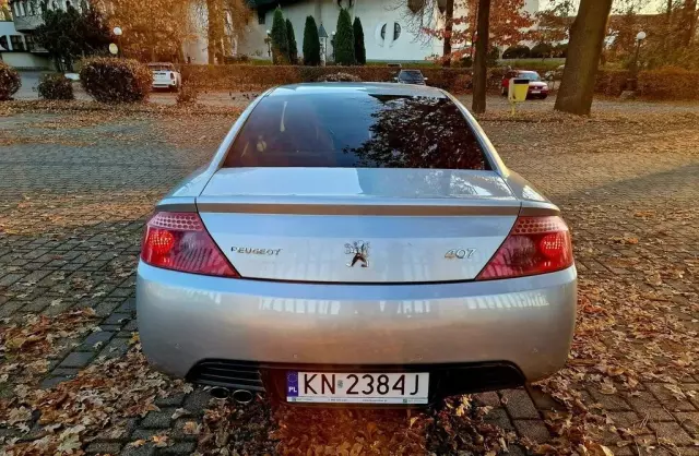 PEUGEOT 407 