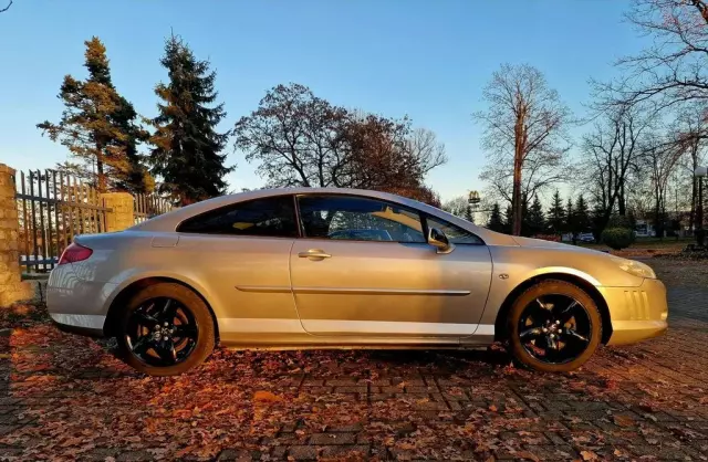 PEUGEOT 407 