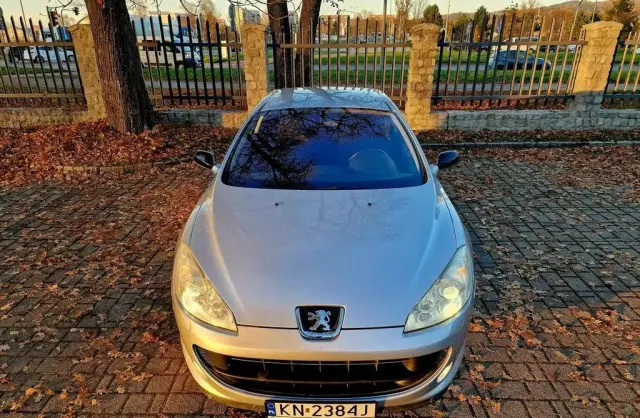 PEUGEOT 407 
