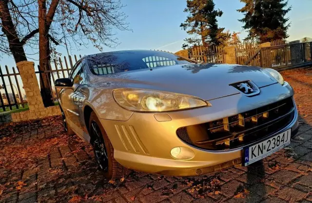 PEUGEOT 407 