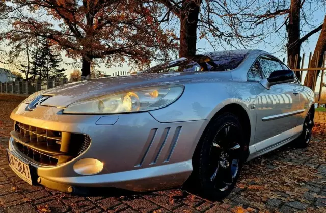 PEUGEOT 407 