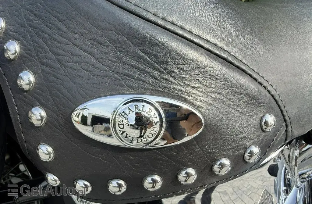 HARLEY-DAVIDSON Softail 