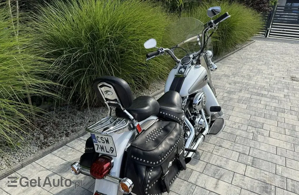 HARLEY-DAVIDSON Softail 