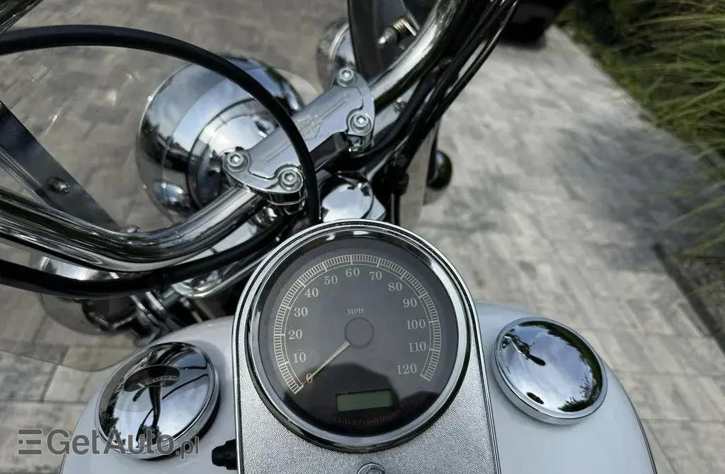 HARLEY-DAVIDSON Softail 