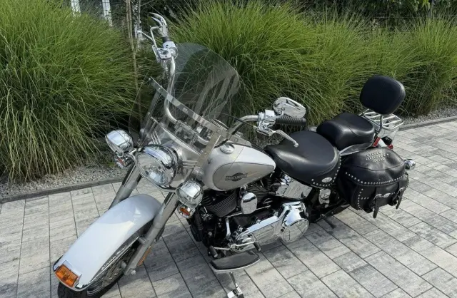 HARLEY-DAVIDSON Softail 