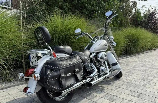 HARLEY-DAVIDSON Softail 