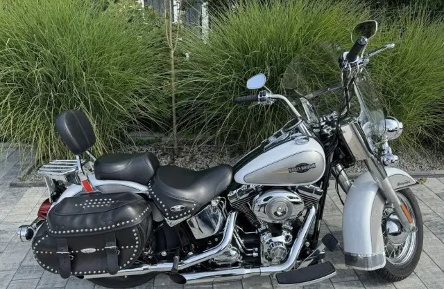 HARLEY-DAVIDSON Softail 