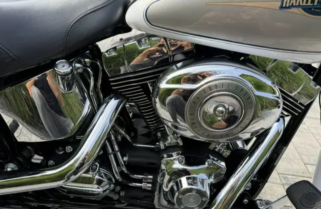 HARLEY-DAVIDSON Softail 