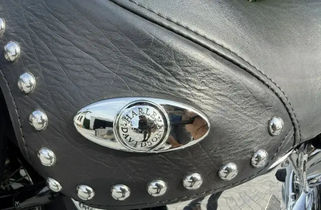 HARLEY-DAVIDSON Softail 