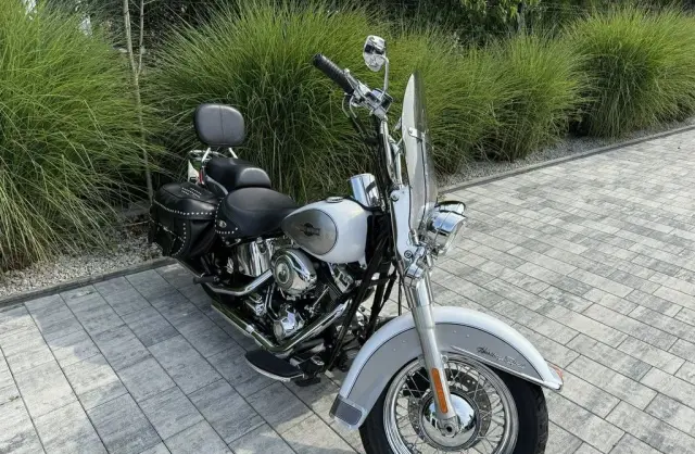 HARLEY-DAVIDSON Softail 