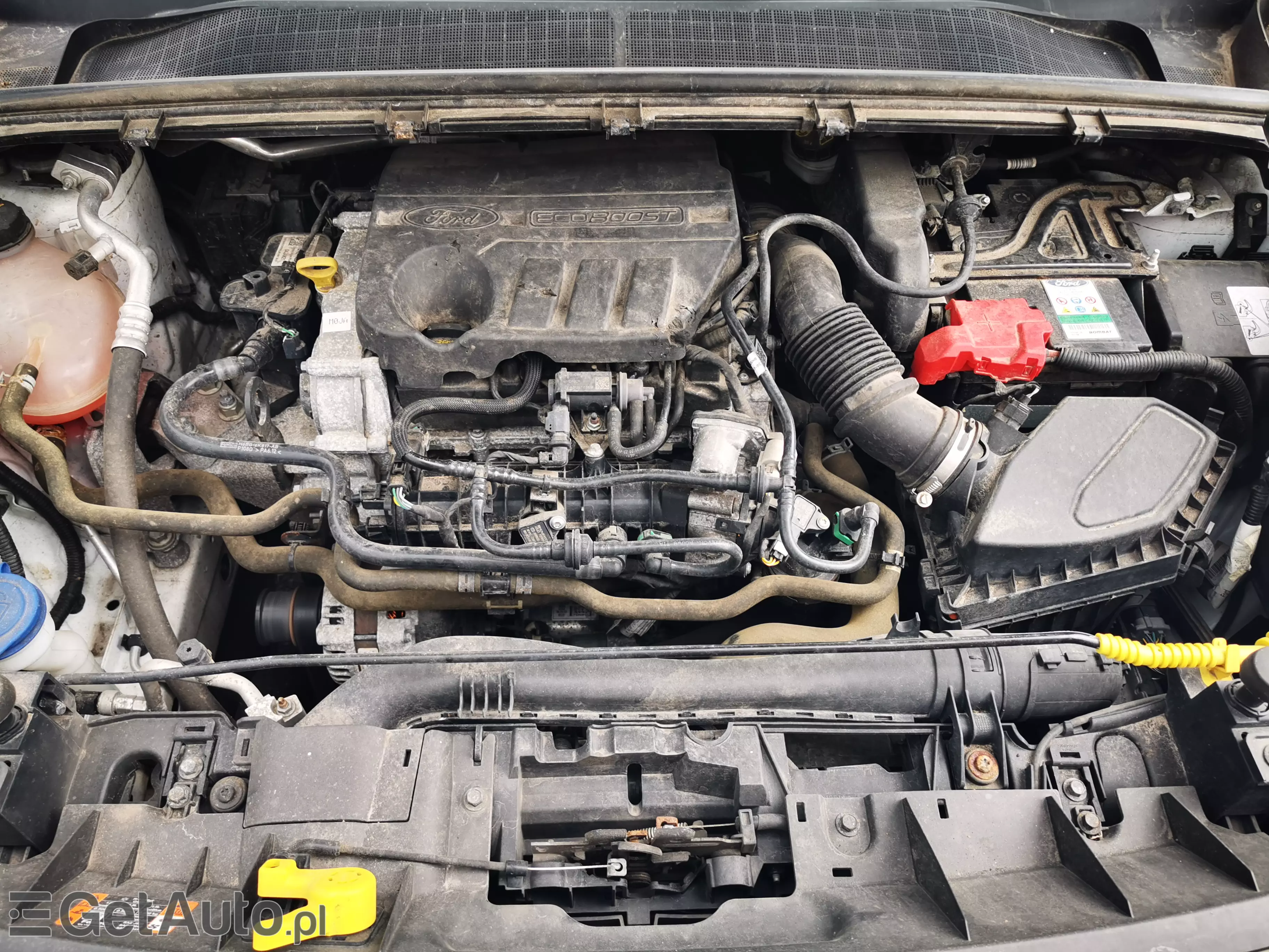 FORD Puma 1.0 EcoBoost COOL & CONNECT