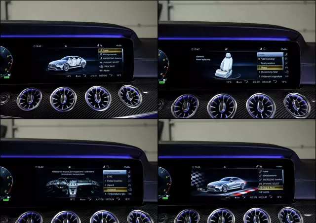 MERCEDES-BENZ AMG GT 53 4-Matic+