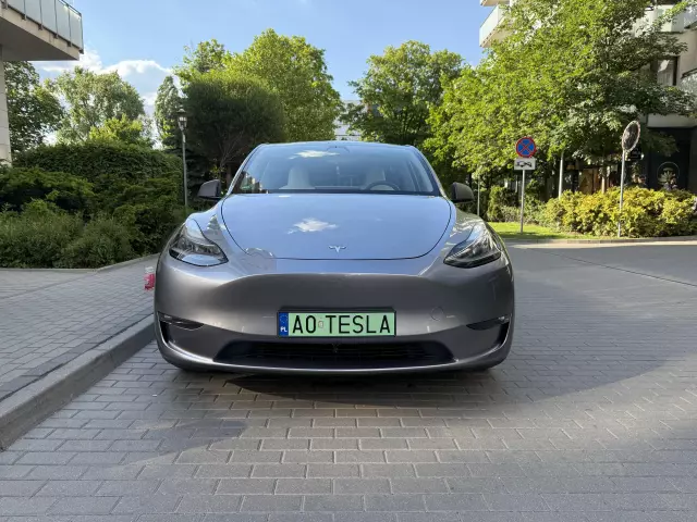 TESLA Y 
