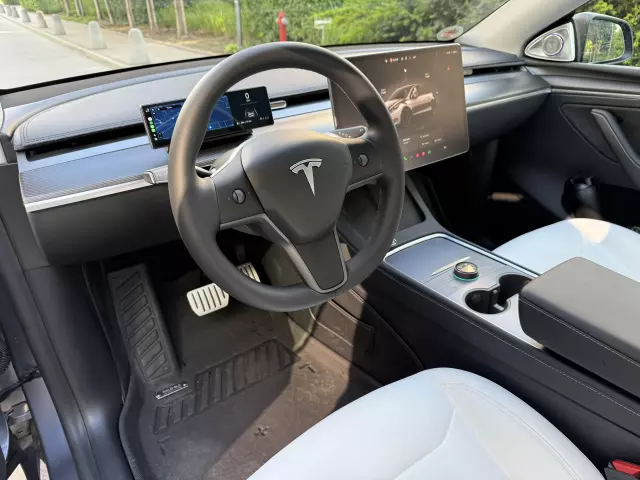 TESLA Y 
